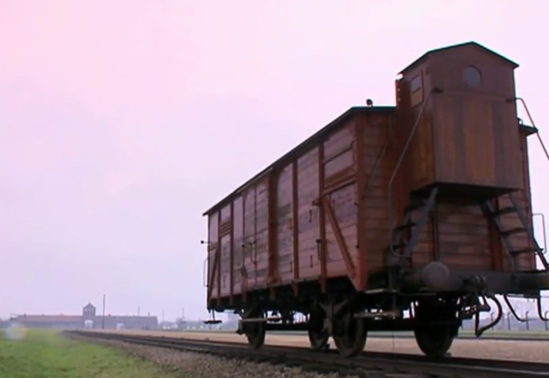 <p>The Wagon of Birkenau</p>