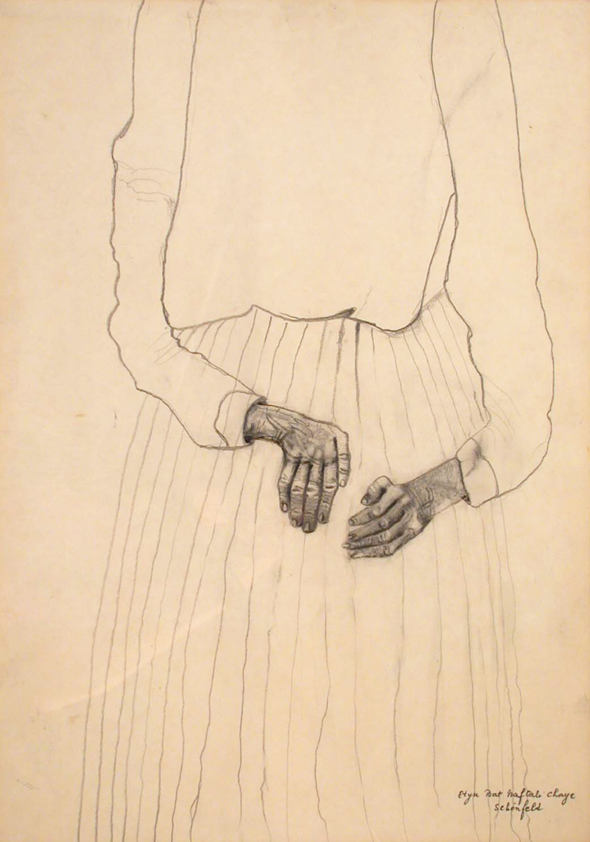 Etju (Esther) Schoenfeld Bez názvu Tužka na papíře 49,3x34,8 cm Odkázáno umělkyní