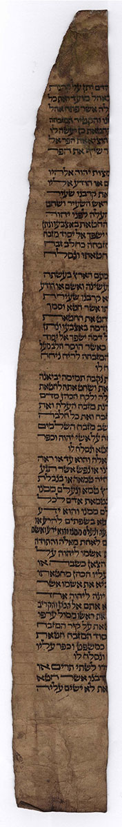 Parchment piece from a Torah scroll that Albert Memmi’s father, Fradji, received from a German officer.