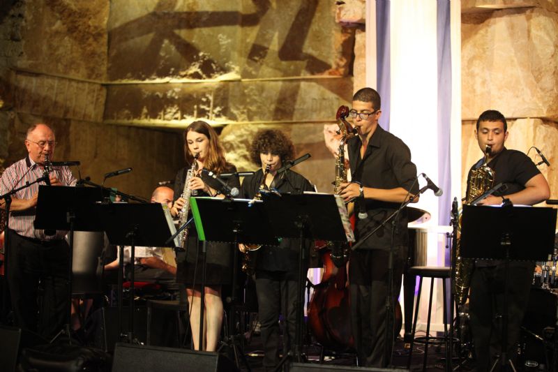 A range of talented young and veteran musicians from around the world came to play in the concert 