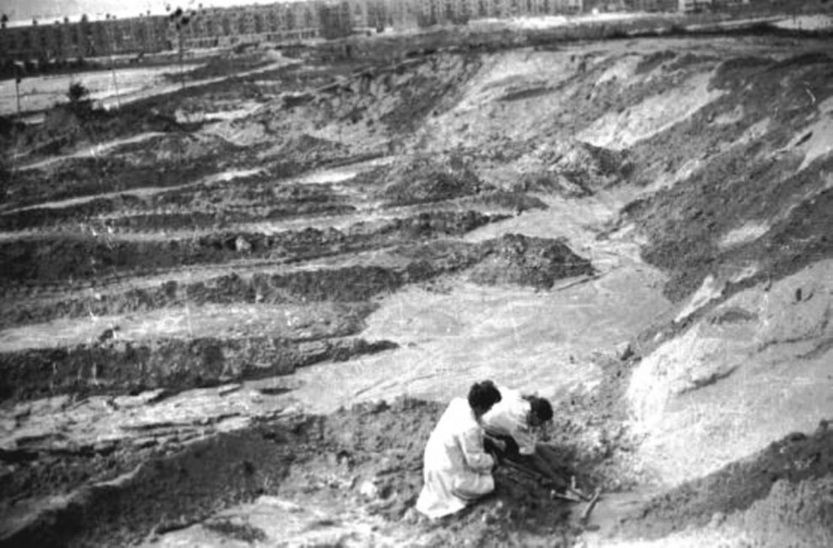 A general view of Babi Yar in 1961. Courtesy of Emmanuel (Amik) Diamant.