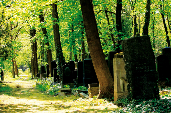Im Himmel, unter der Erde - Der jüdische Friedhof Weißensee (2011)