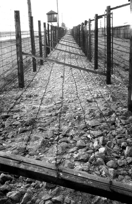Забор из колючей проволоки и охранная вышка, Майданек, Польша 1973 год