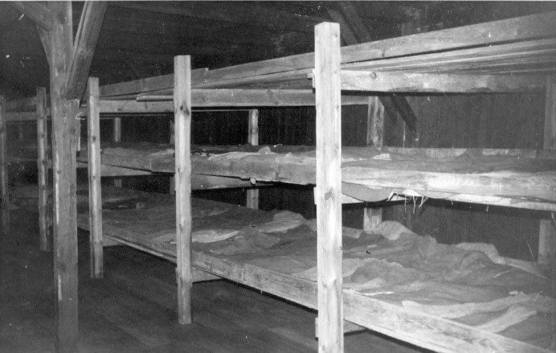 Полки на которых спали узники в одном из бараков лагеря после войны