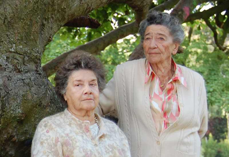 "De onde virá minha ajuda?" – História de duas irmãs: Fanny Rozelaar e Betty Meir