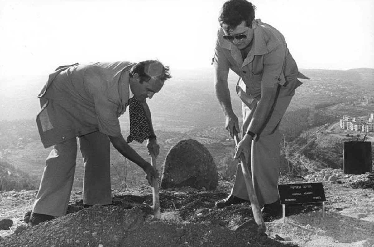 Plantando un árbol en la ceremonia en honor de Victoria (Viorica) Agarici, quien fue reconocida entre los Justos de las Naciones, Yad Vashem, enero, 1983
