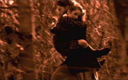 Scene from Sarah (1999)