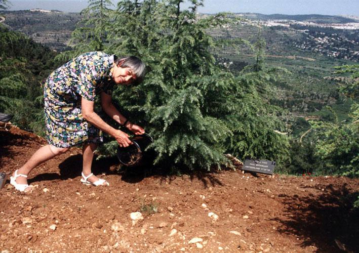 Grueningers Tochter beim Pflanzen eines Baumes auf der Allee der Gerechten, Yad Vashem