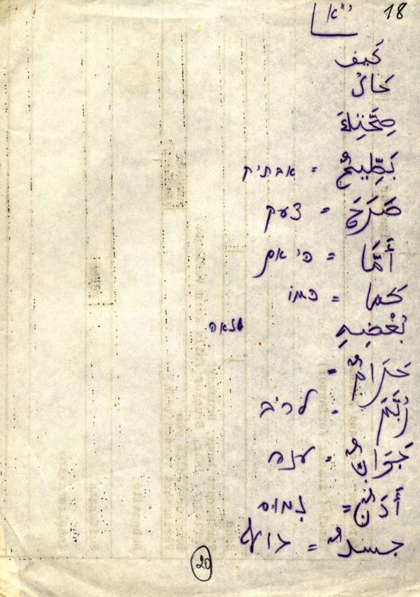 דף מתוך מחברת ללימוד ערבית בגטו טרזין