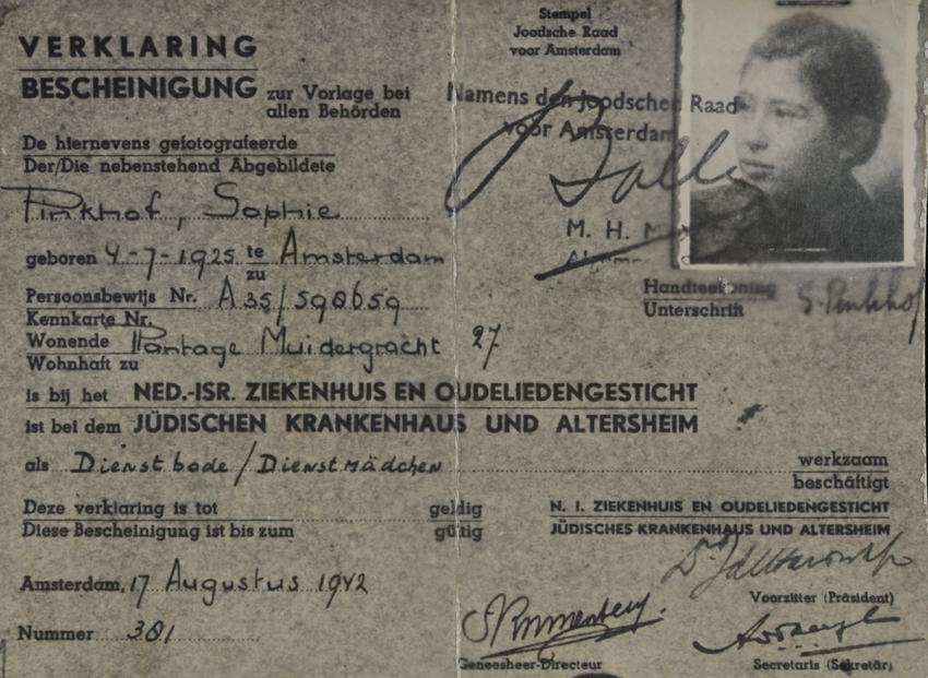 דיוקנה של סופי פינקהוף על תעודה מטעם היודסה ראט (המועצה היהודית) המעידה על כך שסופי עובדת בבית האבות היהודי. הונפק באמסטרדם ב-18 באוגוסט 1942.