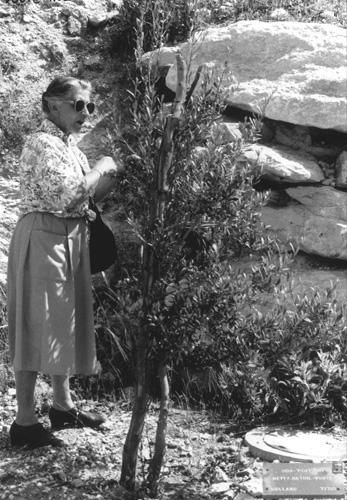 Henriette Voute at the tree planted in her honor during a visit to Yad Vashem, 1992
