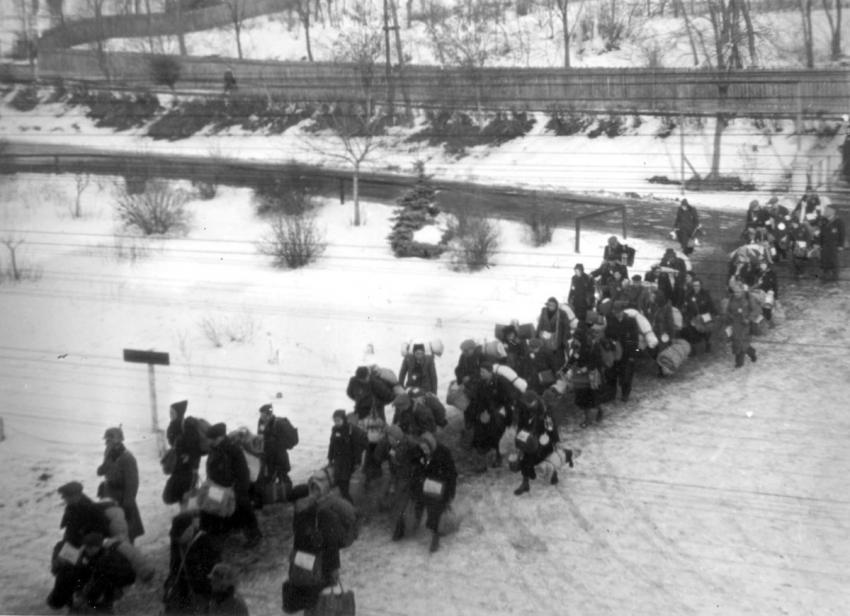 גירוש יהודים מאוהרסקי ברוד, צ'כיה, לגטו טרזיינשטט, ינואר - פברואר 1943