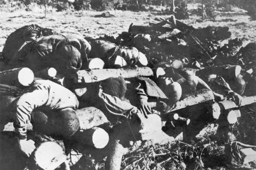 גופות של קרבנות יהודיים על בולי עץ לפני שריפתם, במחנה העבודה קלוגה (Klooga) שבאסטוניה, ספטמבר 1944