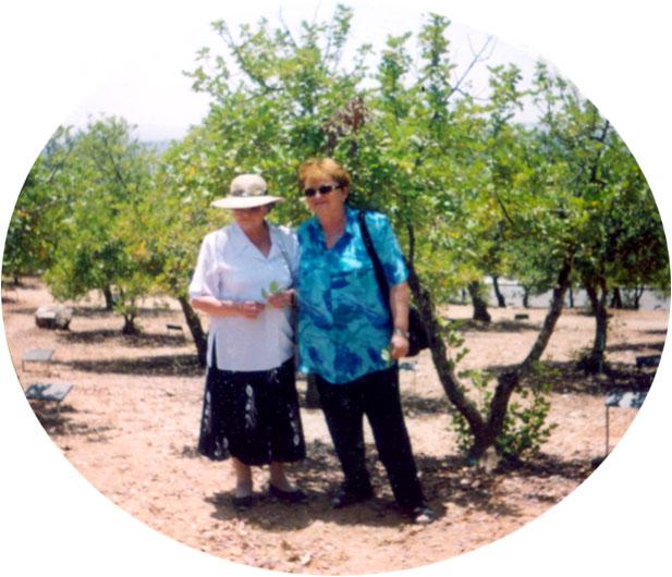 Shifra (right) with Leokadia Jaromirska next to the tree planted in her honor at Yad Vashem