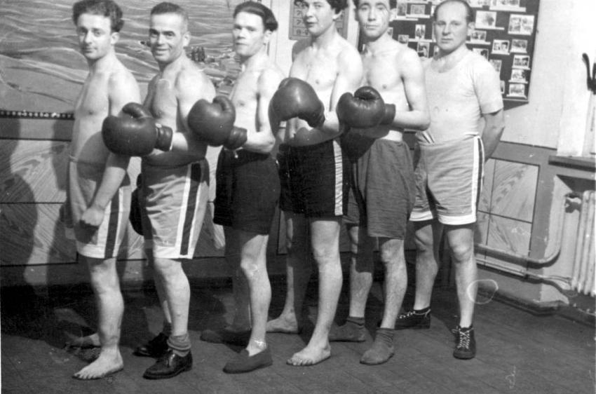 Boxers at the Leipheim DP camp