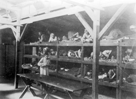 Auschwitz, Poland, Inmates lying on bunks in a barrack, after the liberation