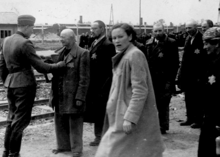 Photo n°15 : Un médecin SS examine l'état de santé d'un Juif debout devant lui. La femme au premier plan est Geza Lajtos de Budapest