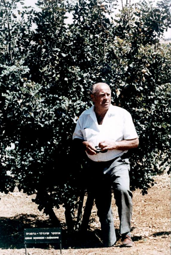 אוסקר שינדלר ליד העץ שנטע בשדרת חסידי אומות העולם