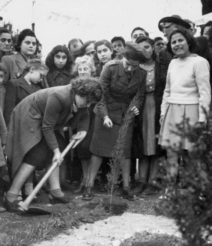 נערות נוטעות עצים בחגיגות ט"ו בשבט באתונה, 17 בינואר 1946