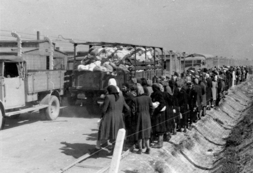 مجموعة من النساء يبدو أنهن في طريقهن إلى غرف الغاز تمر بشاحنات محملة بالمنهوبات. 