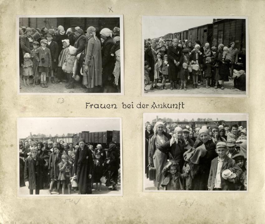 Page from the Auschwitz Album.