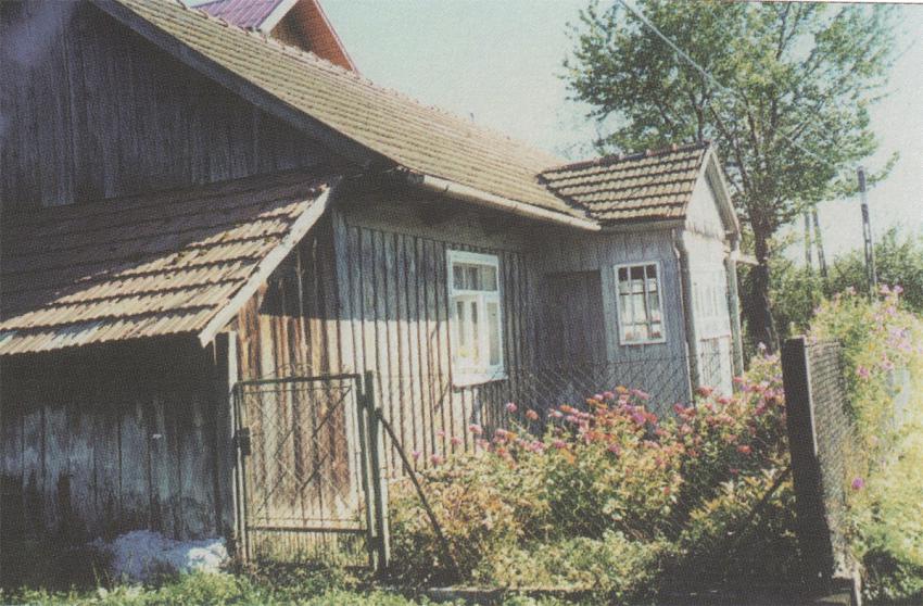 Casa de la familia Steiner, entrada por la puerta lateral, Gromnik, 1999