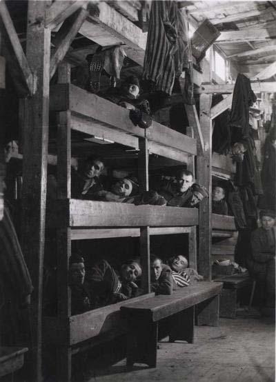 Бухенвальд, Германия. Узники на нарах во время освобождения.