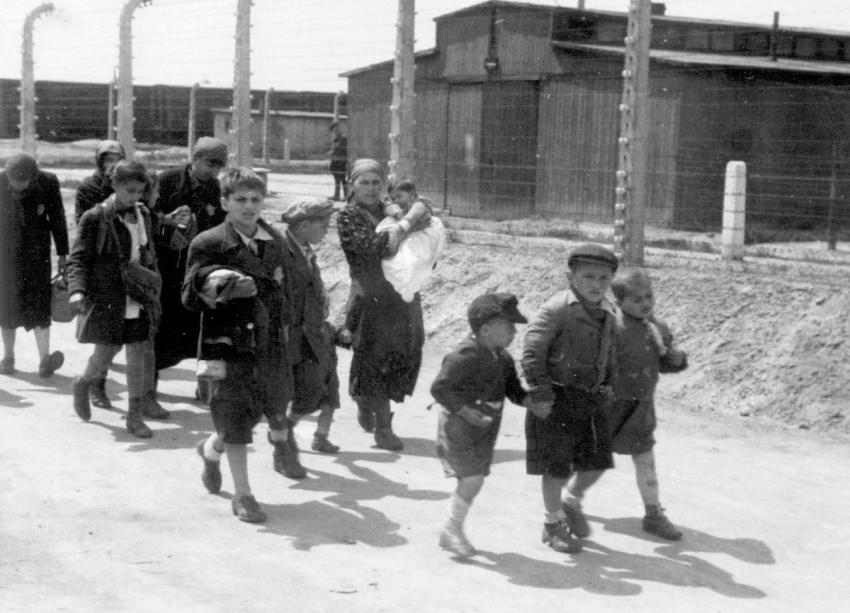 Photo 36: Jewish women and children on their way to death in the gas chambers