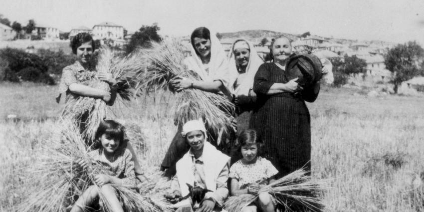 The Batis Family (Ioannina, Greece)