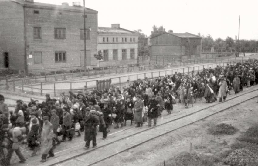最后一批驱逐到奥斯威辛－比克瑙的犹太人，波兰罗兹，1944年8月30日