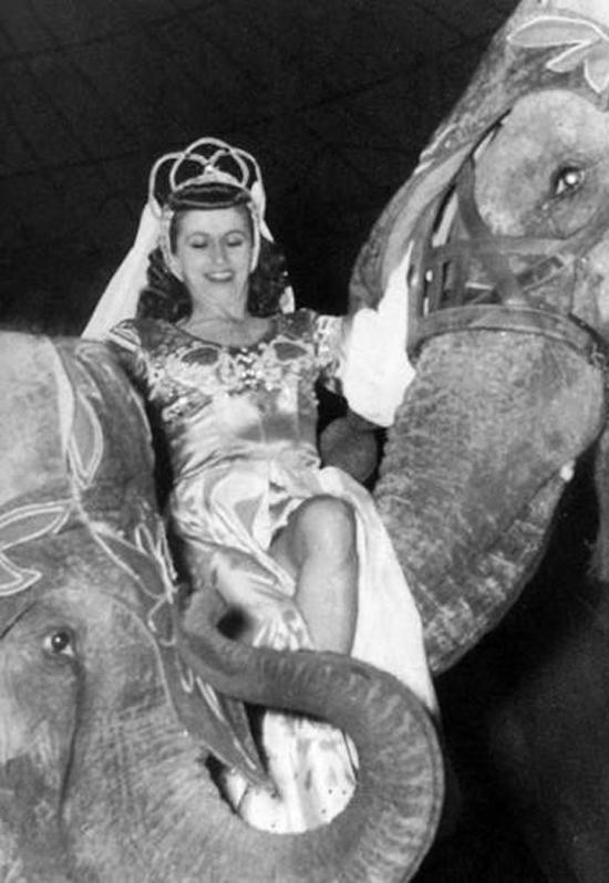 Irene during the years in hiding with the Althoffs, here with Maria Althoff’s elephants.