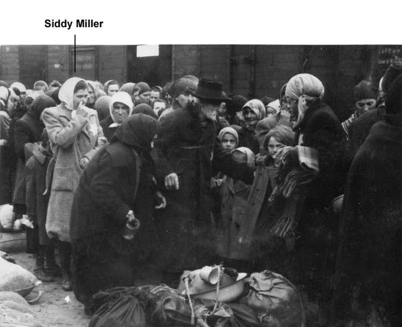 Fotografie č.3, Příjezd do Osvětim-Birkenau – (Siddy Miller)
