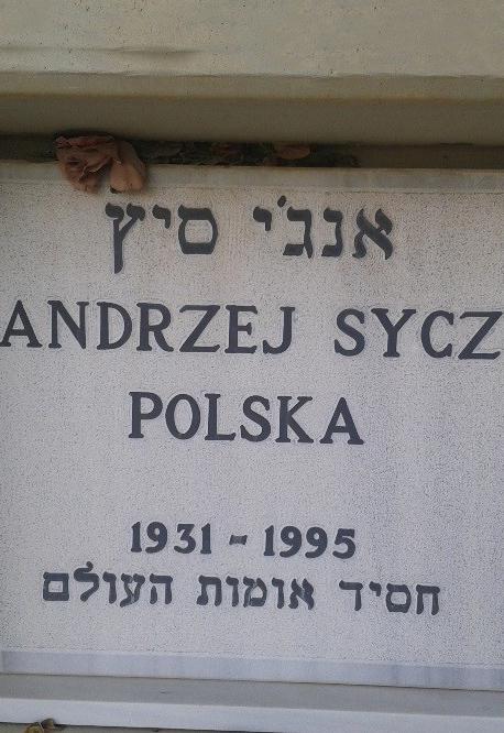 אנדז'יי סיץ' Andrzej Sycz