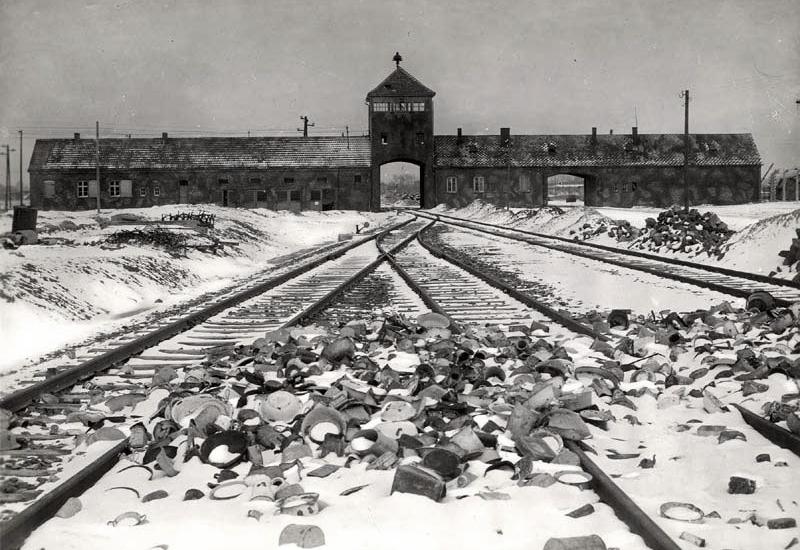 Lección 5: Auschwitz, Majdanek y la “Solución Final”