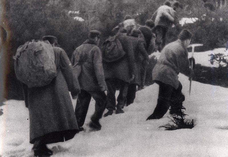 הבריחה - מסעם של ניצולי השואה לקראת חיים חדשים - מערך שיעור
