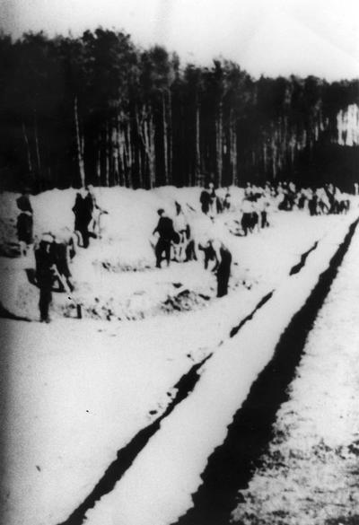 营地建造期间被迫劳动的工人，波兰贝乌热茨，1941年