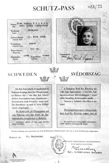 Охранный паспорт, выданный шведской дипломатической миссией