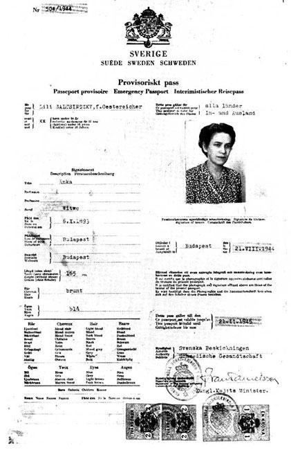 Временный шведский паспорт