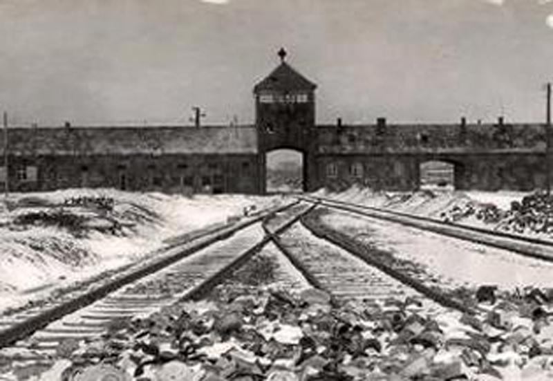 גישות בחקר השואה