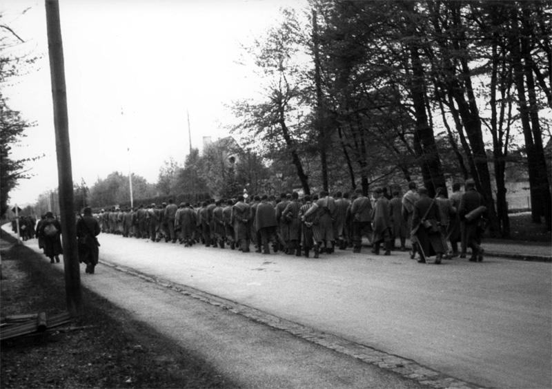 Inmates on a death march, Dachau, 1945