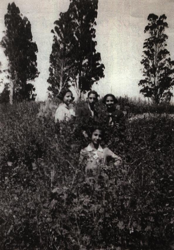 Cuatro de los cinco niños Osmo: Leone-Yehudá, Agnes-Judith, Irena y Neta, 1933