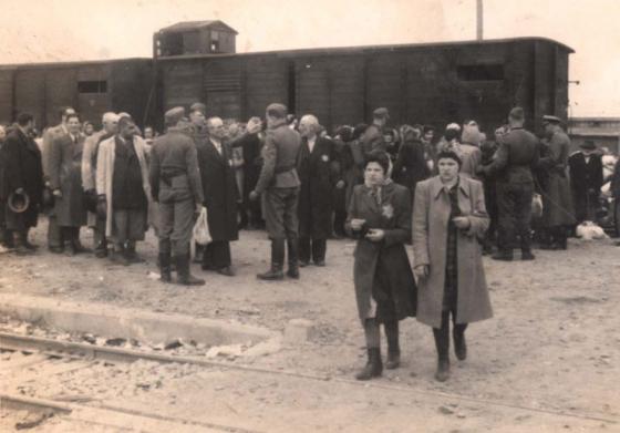 La selección en Auschwitz-Birkenau, mayo de 1944
