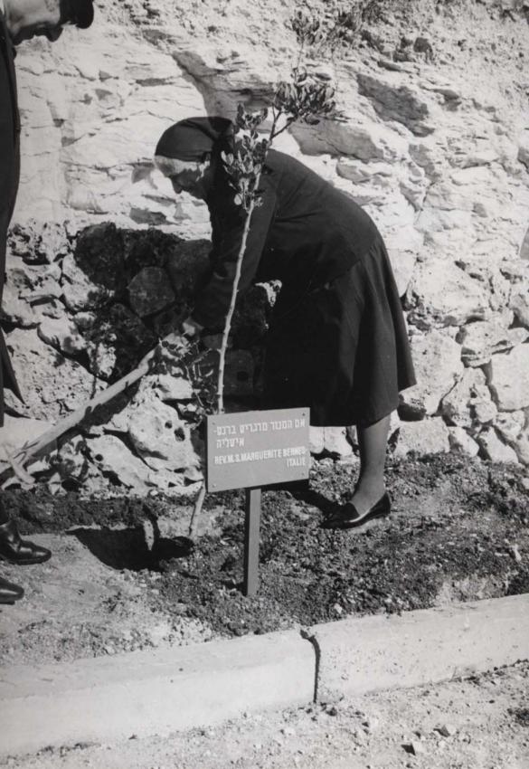 האחות מַרגרִט קלייר בֶּרנֶס בטקס נטיעת עץ ביד ושם
