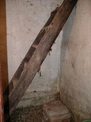 The ladder leading down to the hideout, August 2004