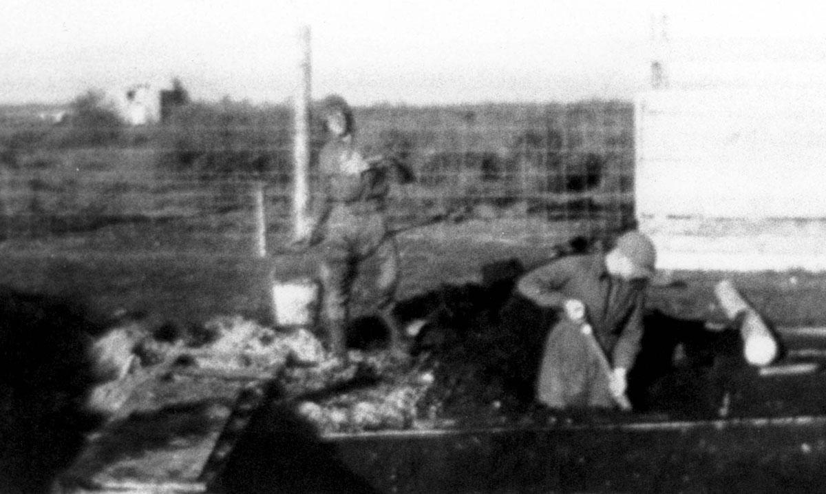 Dos judíos cavando fosas en Šiauliai
