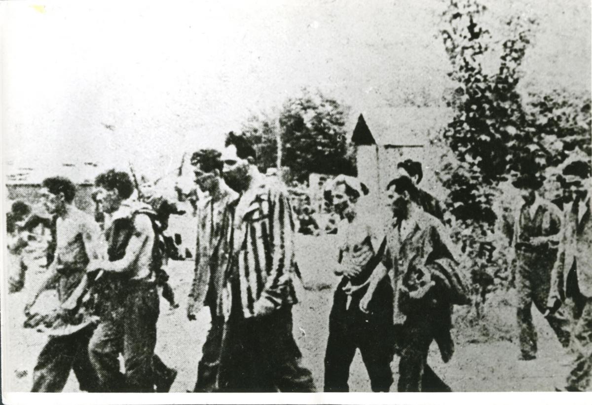 גירוש יהודיה של עיירה מבסרביה שברומניה לטרנסניסטריה ב-1941