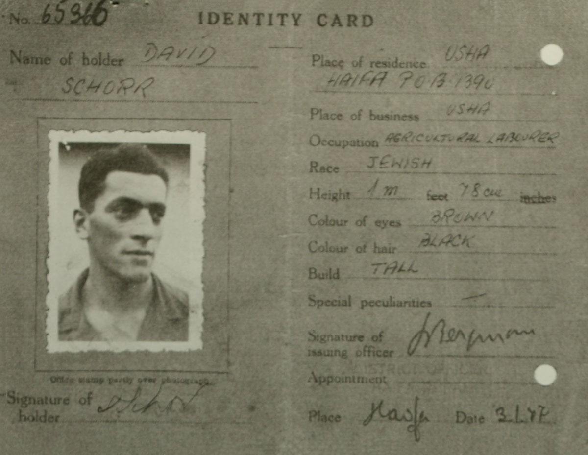 David Schor's ID card from Eretz Israel (Mandatory Palestine)