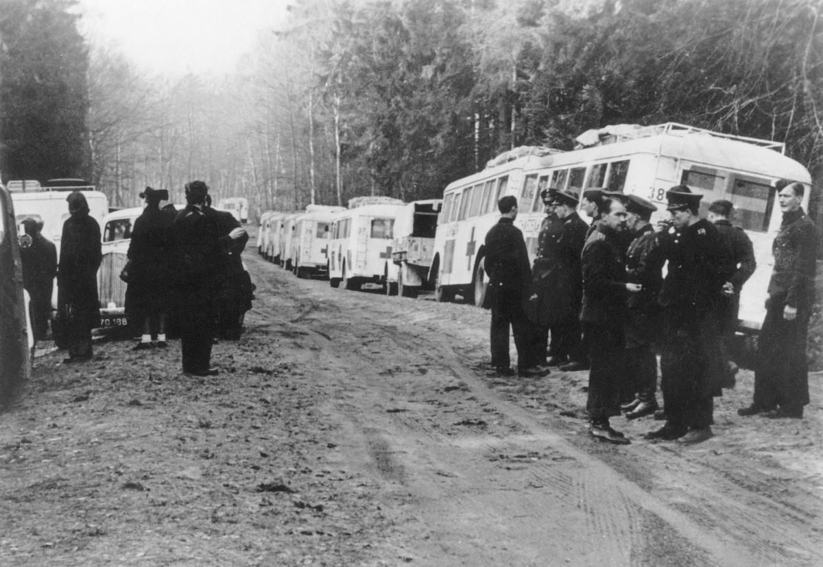 Danish policemen next to a convoy of white Red Cross buses used in the rescue operation. First on the right is bus number 38, the one currently displayed at Yad Vashem, Jerusalem. Credit: Swedish Red Cross Archive