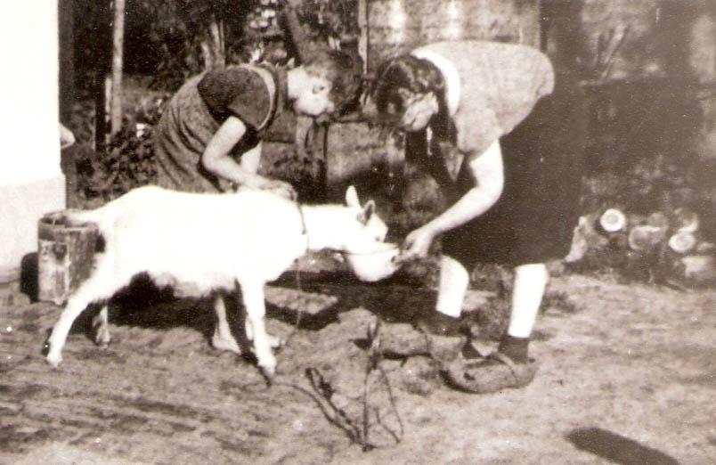 משמאל: הארי קלאוזנר (אריה עוז) בחווה של משפחת הייטסמה