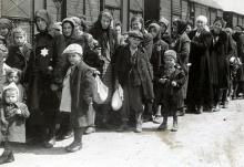 פרקים בתולדות השואה